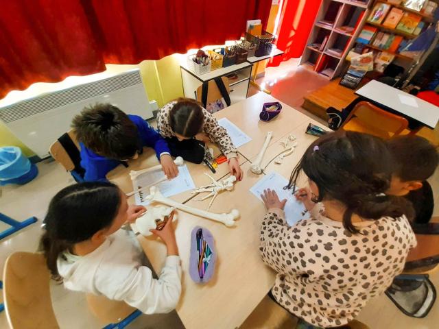 Deux groupes ont été formés